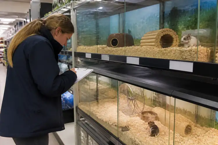 Welzijnssignalen knaagdieren dierenwinkel